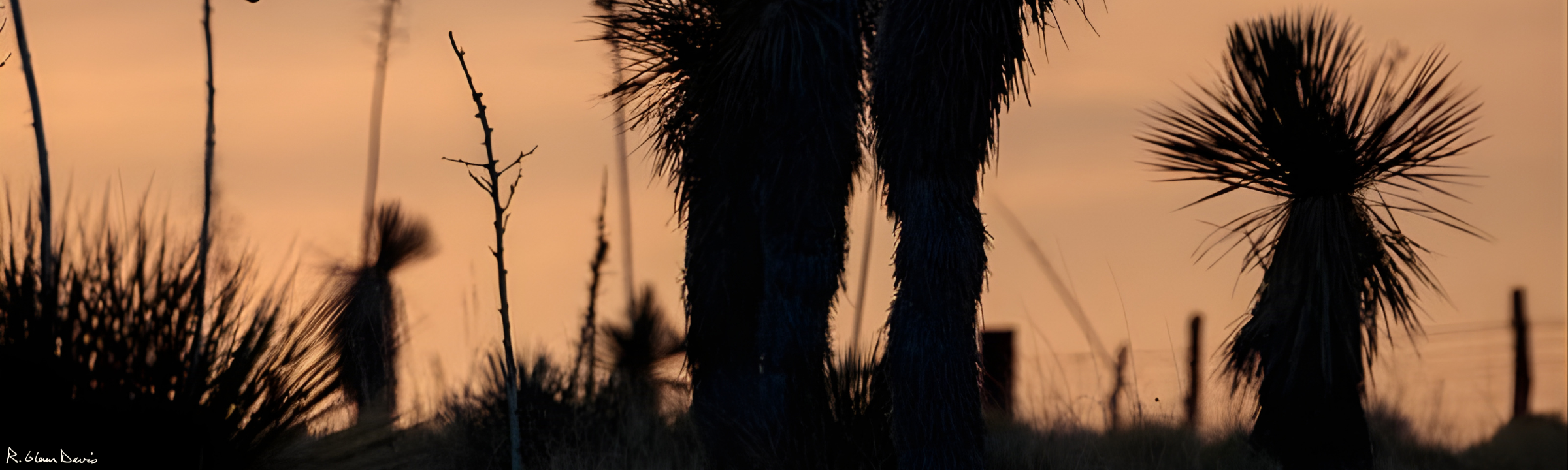 Banking, Lending & Financial Institutions