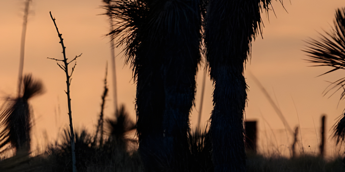 Banking, Lending & Financial Institutions