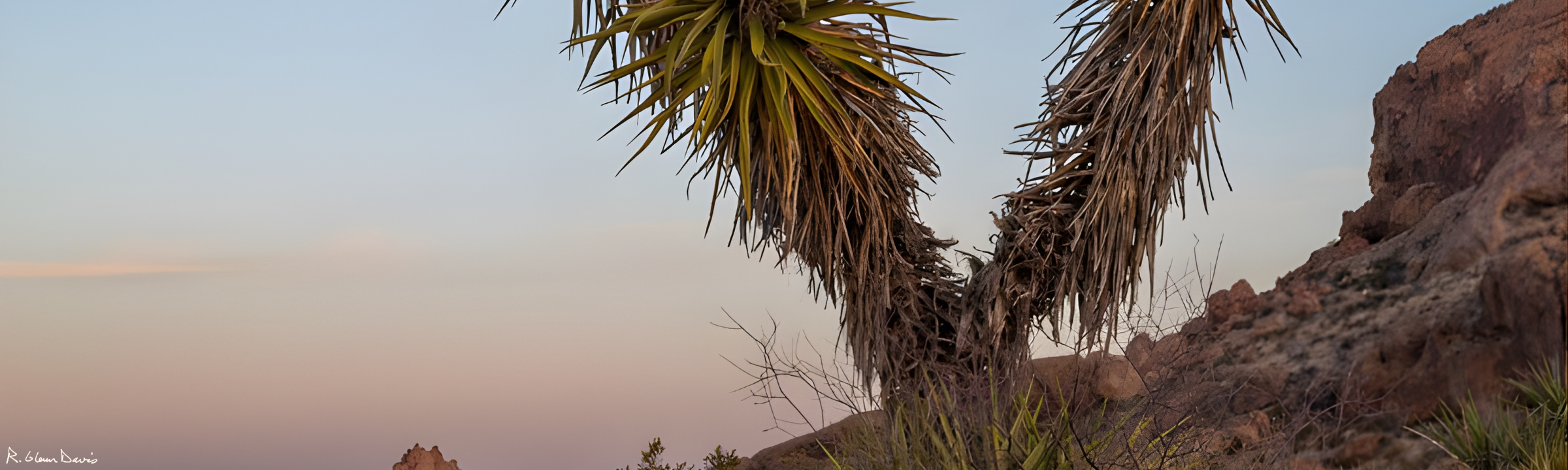 Business Succession, Transition & Exit Planning