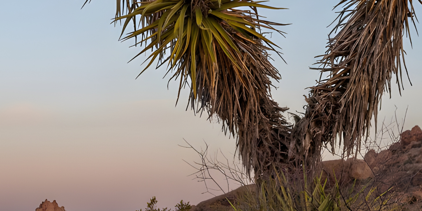 Business Succession, Transition & Exit Planning