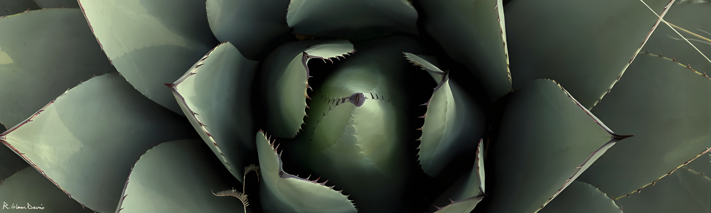 Compensation & Benefits