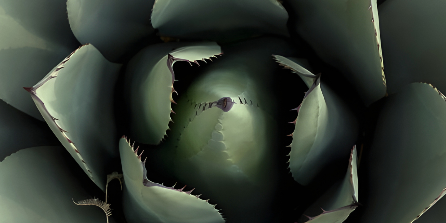 Compensation & Benefits