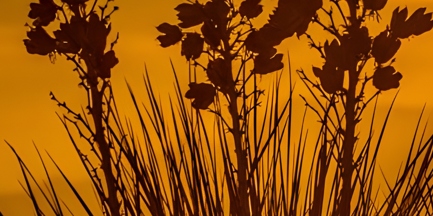 Corporate & Securities