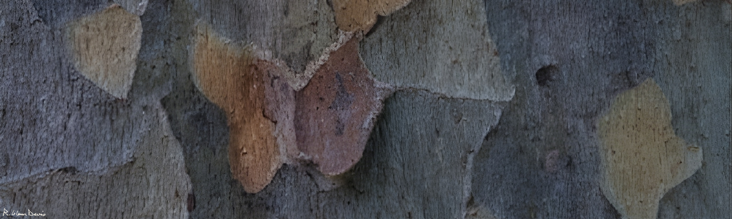 Employment Practices Liability