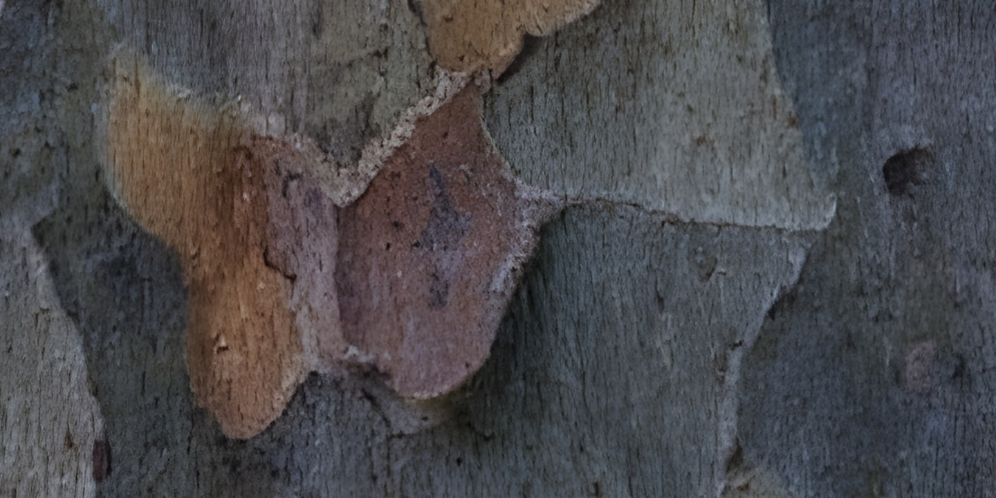 Employment Practices Liability