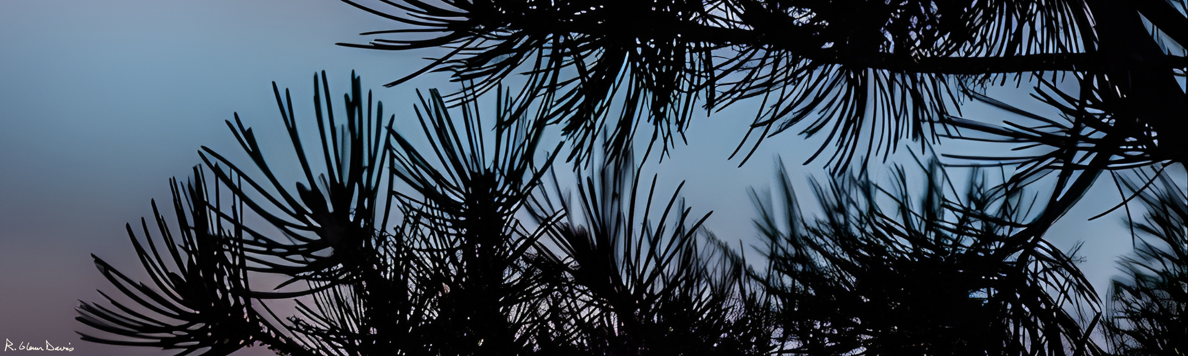 Government Regulation & Compliance