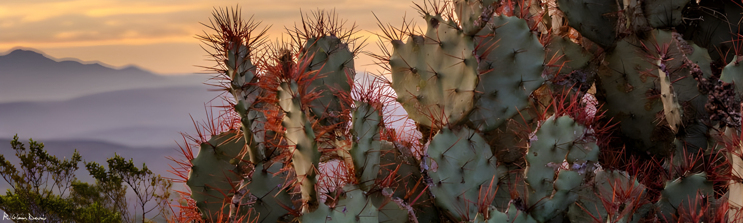 Mergers & Acquisitions